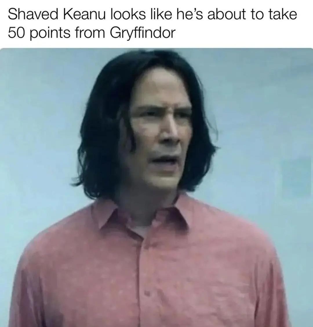 20 Bottom Shelf Memes For Your Top Shelf Occasions Funny