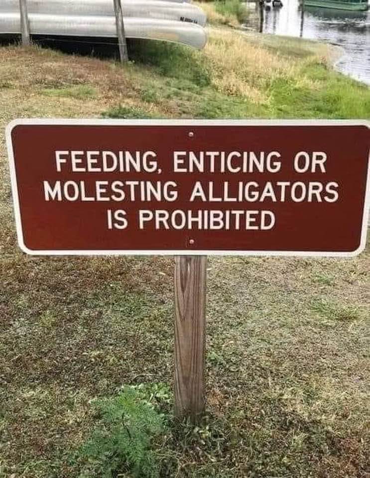 25 Absurd Signs You Won't Believe Actually Exist Funny