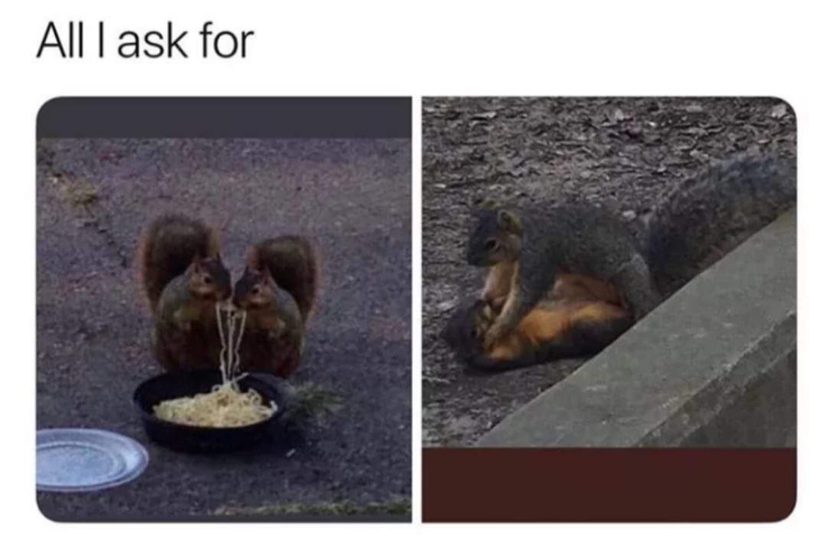 30 Funniest Memes That Will Make You Question Everything Funny