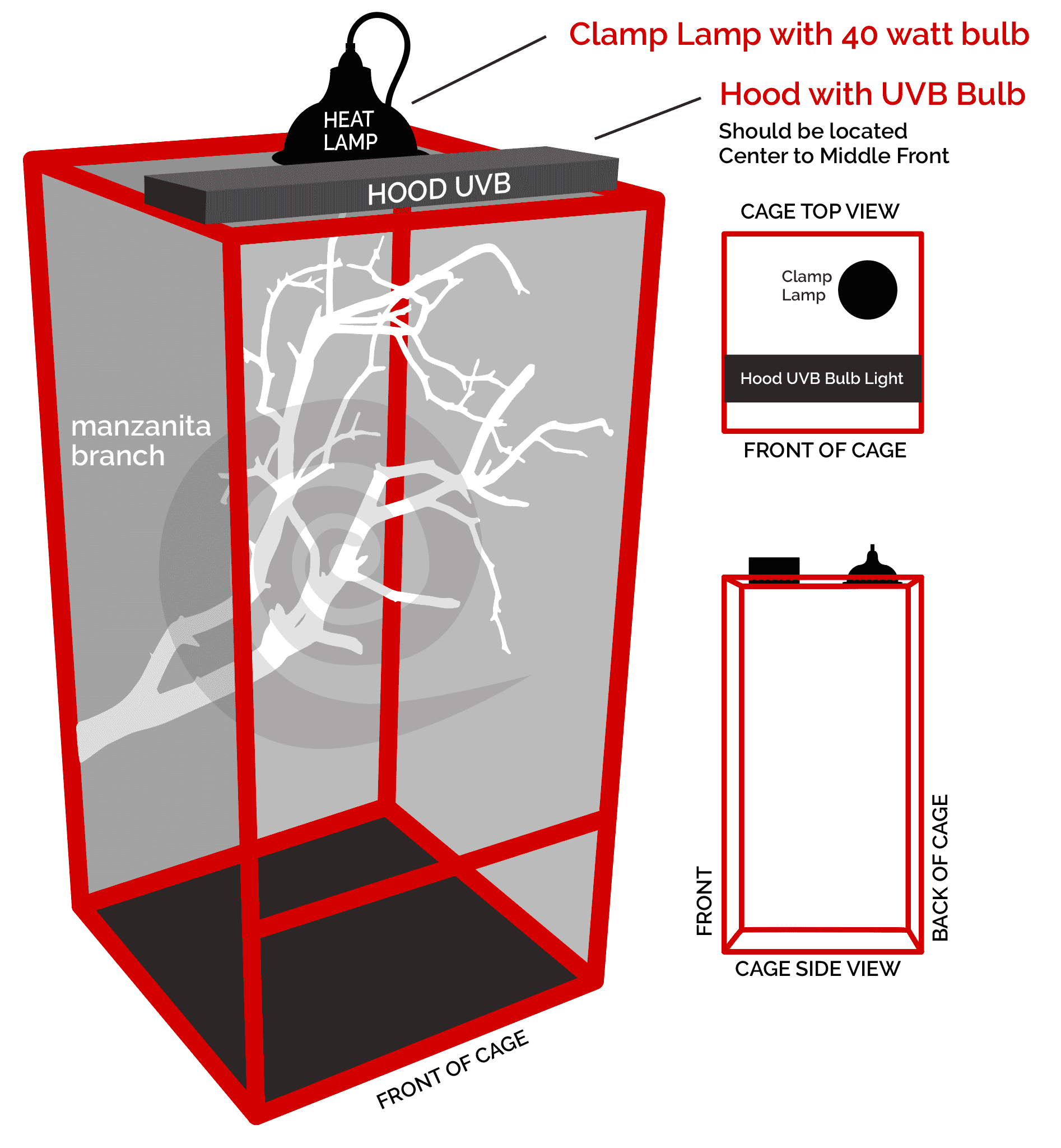 Panther Chameleon Enclosure & Set Up Guide