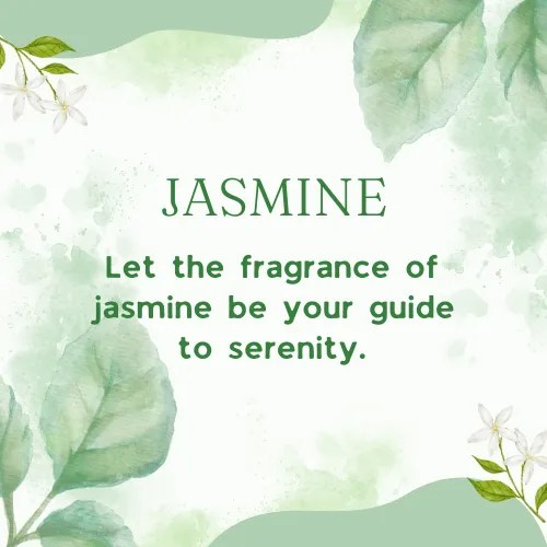 Jasmine Flower Quotes 50+ Quotes