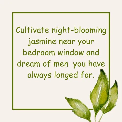Jasmine Flower Quotes 50+ Quotes