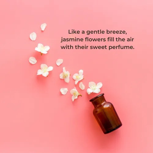Jasmine Flower Quotes 50+ Quotes