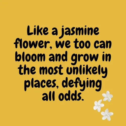 Jasmine Flower Quotes 50+ Quotes