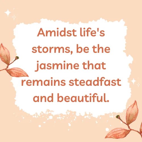 Jasmine Flower Quotes 50+ Quotes