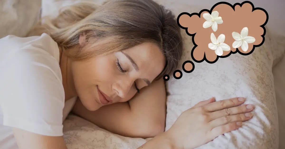 What Happens if Jasmine Flower Comes in Dream