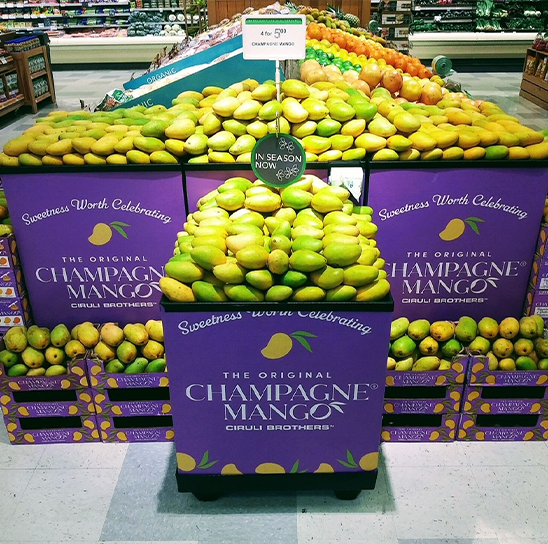 Where To Buy Champagne Mango