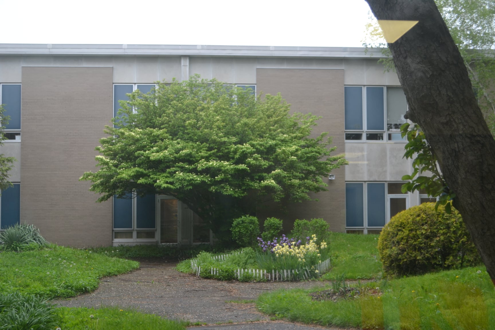 Champaign Centennial High School Class of '72 50th Reunion