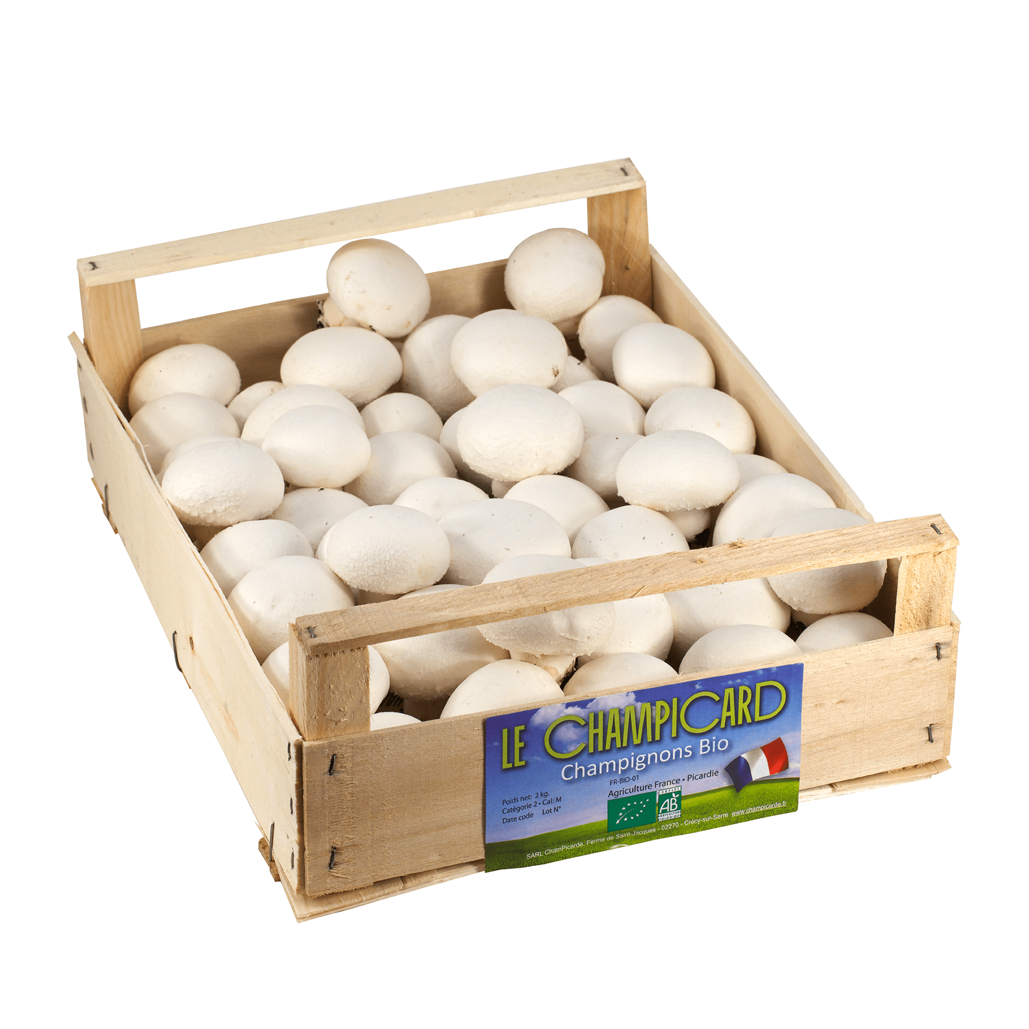 Champignons de Paris Blancs Champicarde