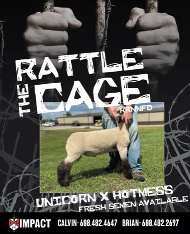 Rattle the Cage