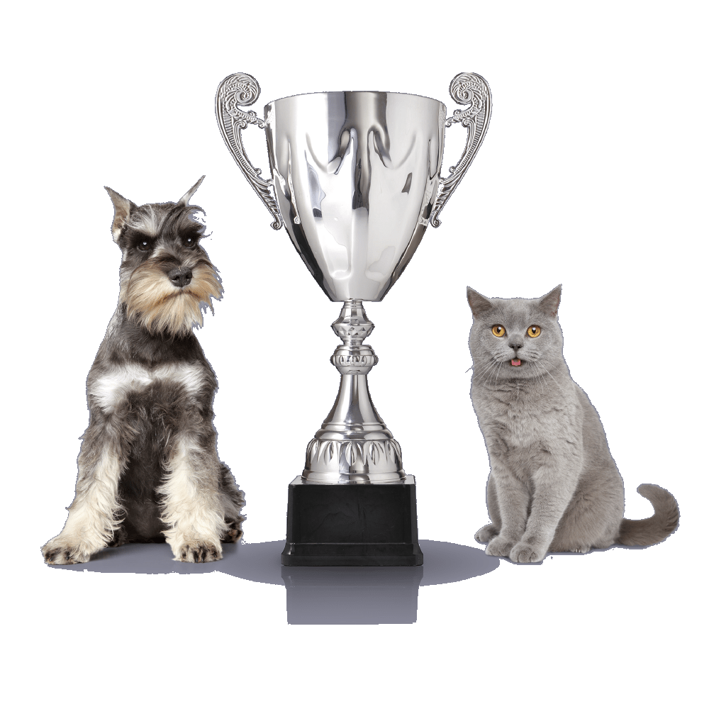 Thanks Champion Mobile Pet Grooming