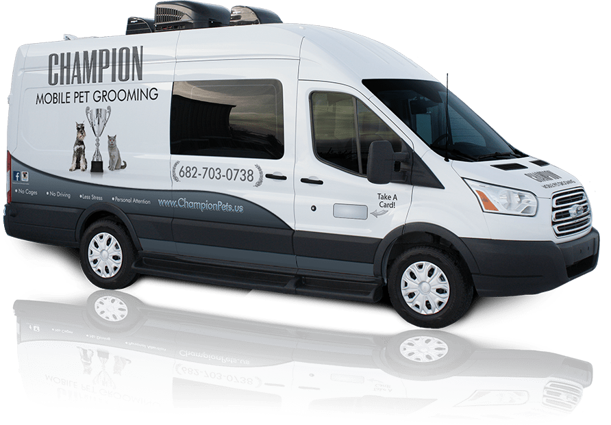Champion Mobile Pet Grooming Fort Worth's Premier Mobile Groomer