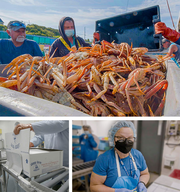 Petit De Grat Champlain Seafood