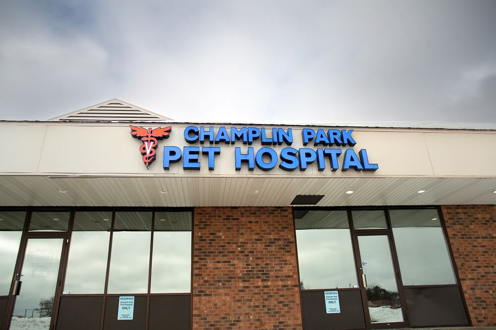 Gallery Best Animal Care Services Champlin Park Pet Hospital