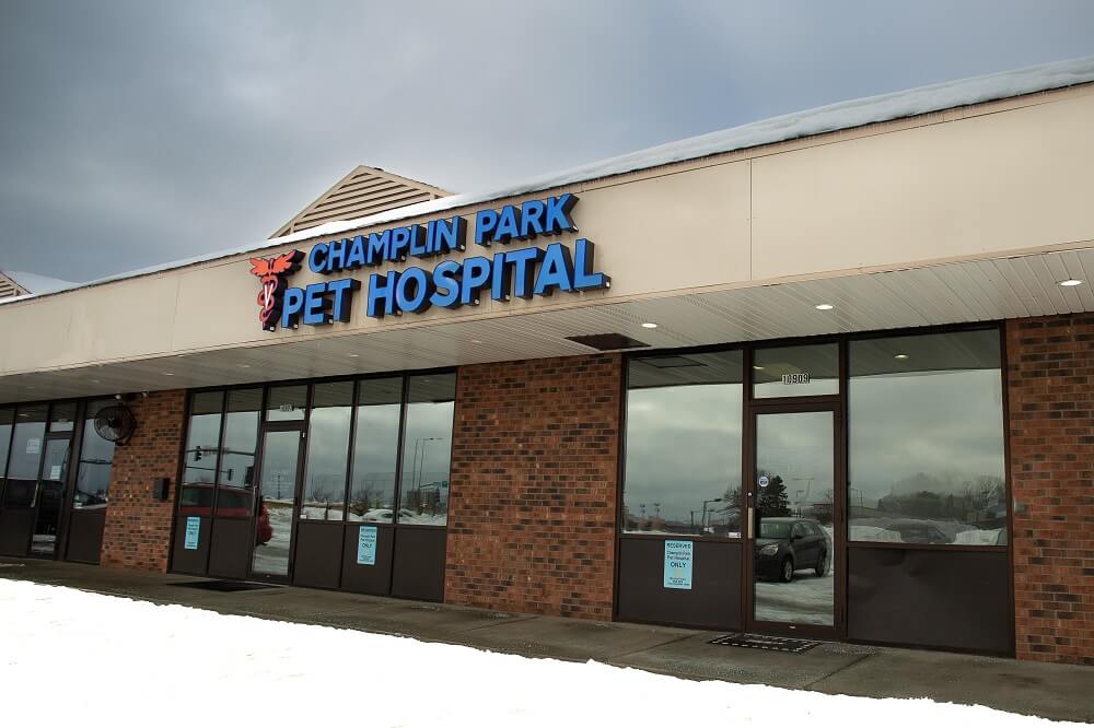 Champlin Pet Clinic Best Animal Care Services Champlin Park Pet