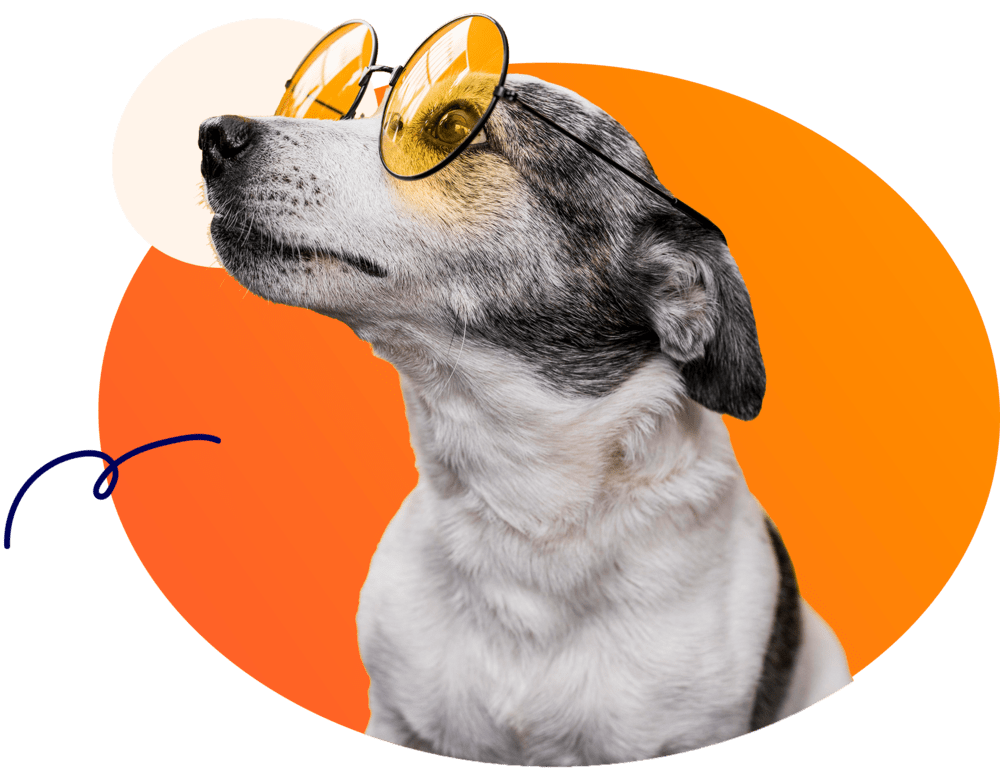 Champlin Pet Clinic Best Animal Care Services Champlin Park Pet