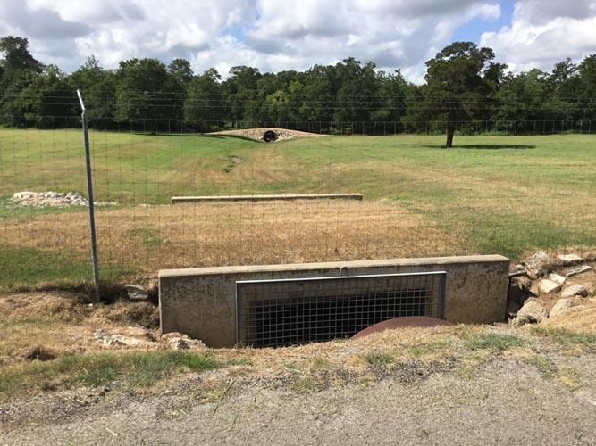 Equine Barns Hempstead, TX Champion Ranchers Construction