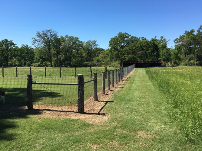 Equine Barns Hempstead, TX Champion Ranchers Construction