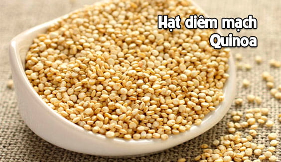 hat diem mach quinoa rat giau protein
