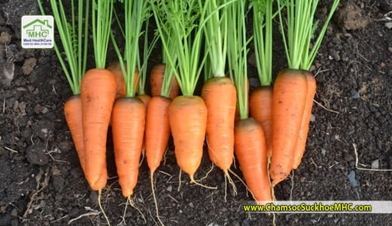 cong dung cua carot loi ich suc khoe cua carot mhc  Công dụng của cà rốt với sức khỏe cong dung cua carot loi ich suc khoe cua carot mhc