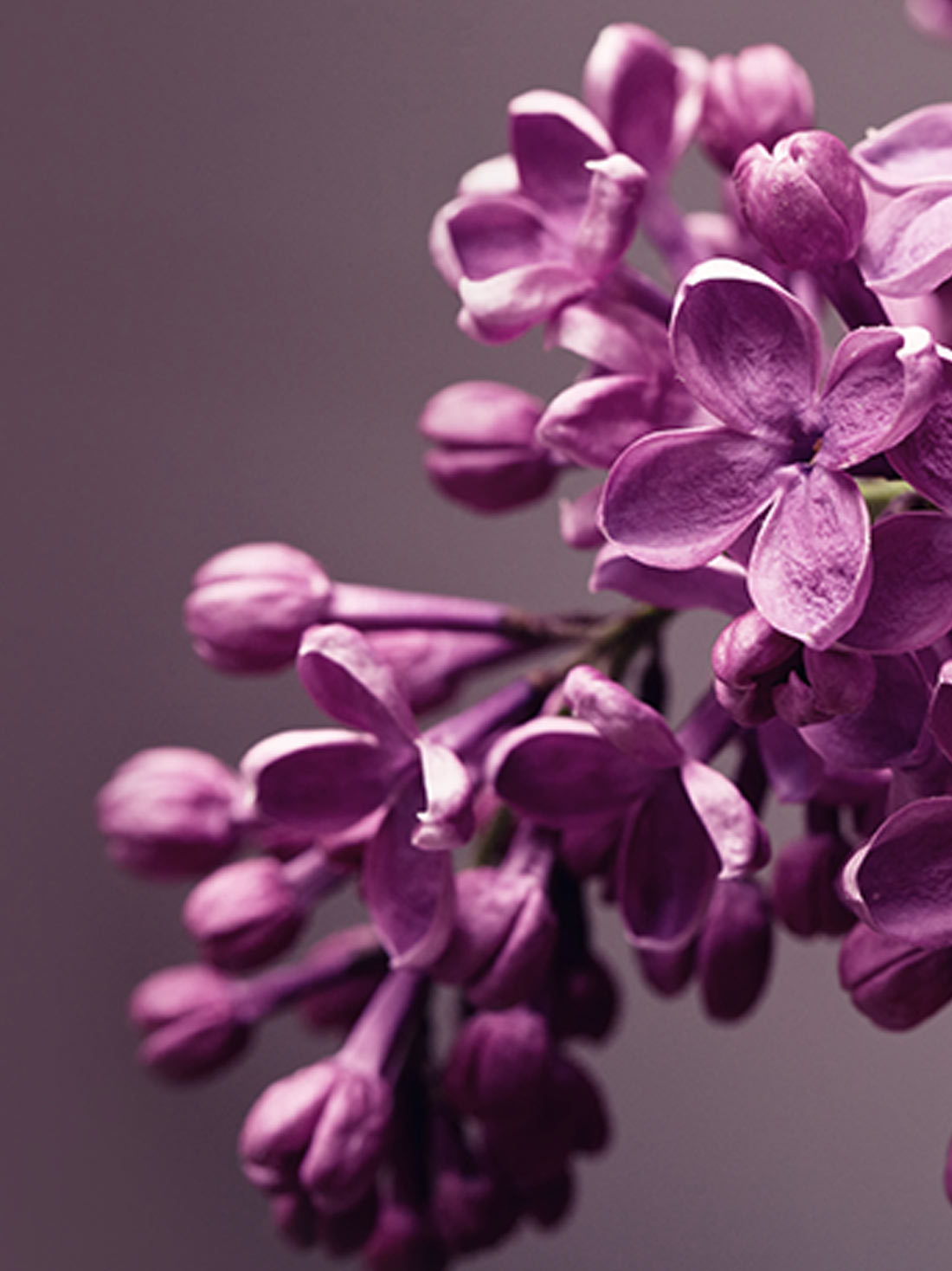 Desktop Accessories Chandelier