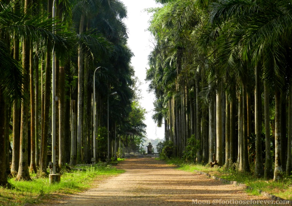 A Photowalk in Botanical Garden Kolkata Footloose Forever