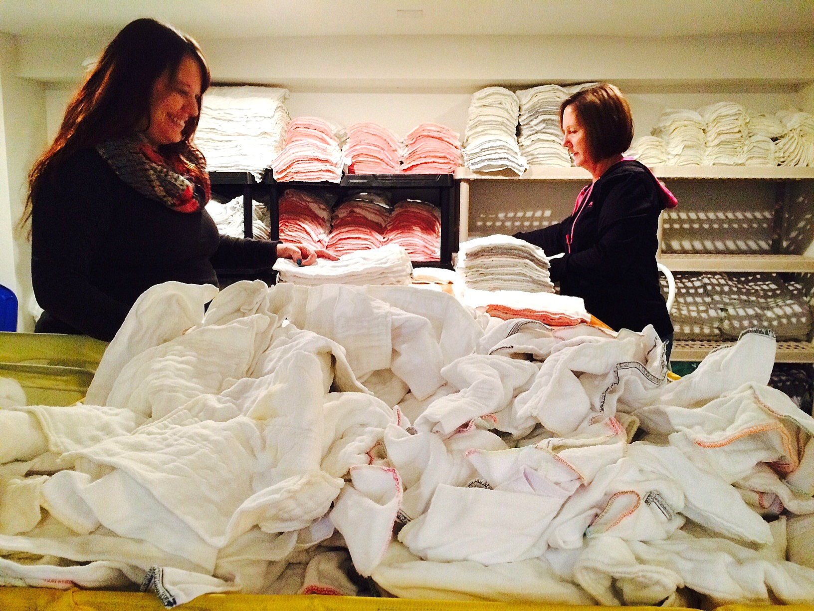 Behind the Diaper The Diaper Fairy (Diaper Service Series)