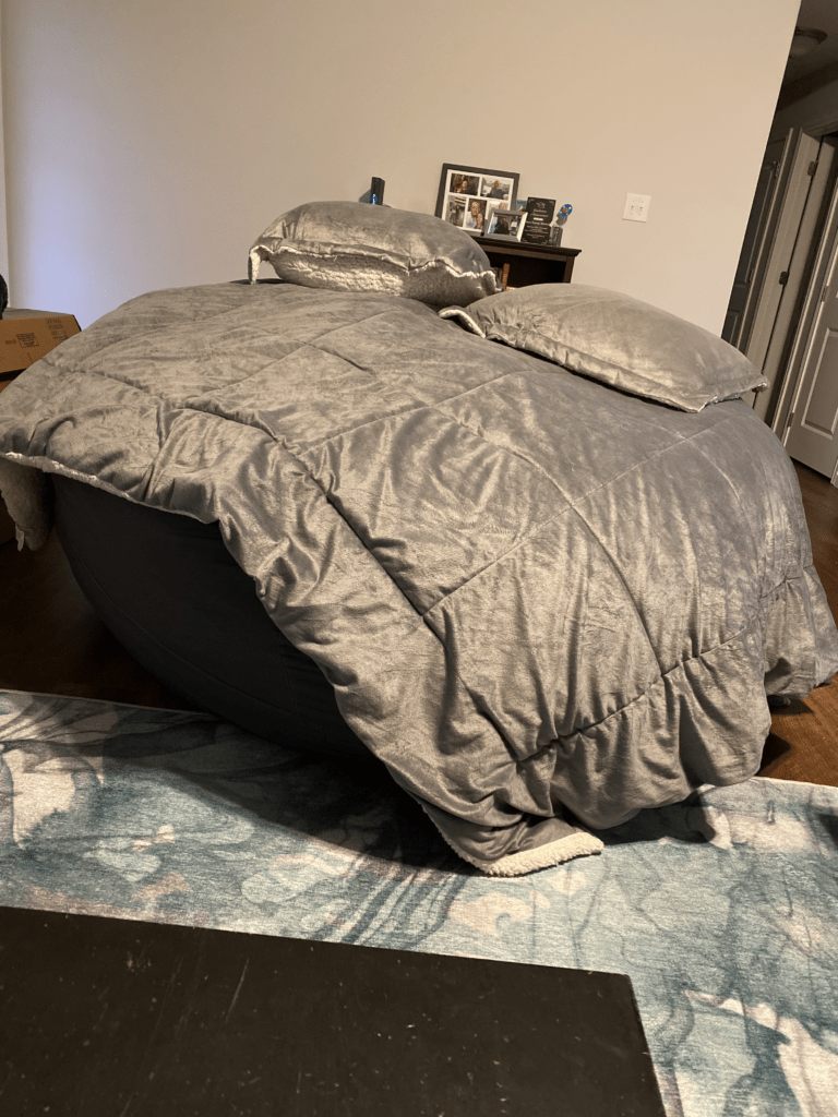 Biggest Puppy Bed Ever LoveSac Giant Bean Bag