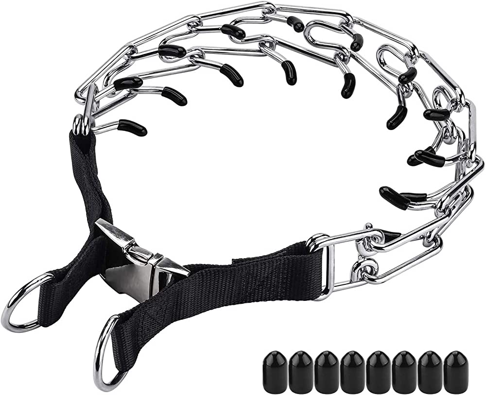 Petition · Ban Dog Prong Collars United Kingdom ·