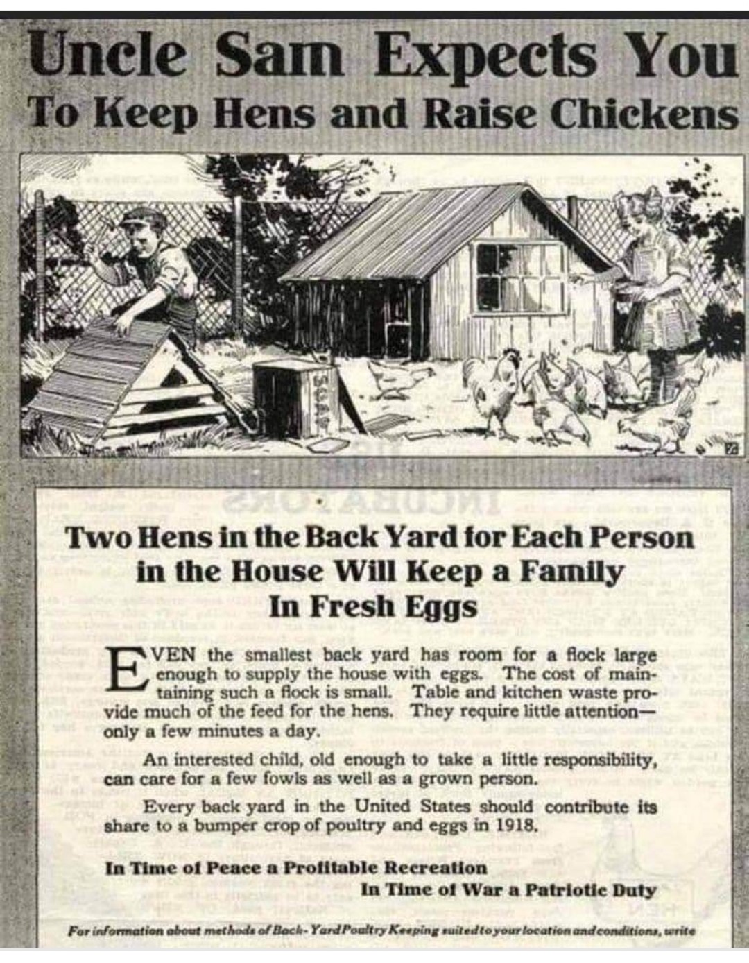 Petition · Allow chickens (Hens) inside city limits of alma, mo. Alma