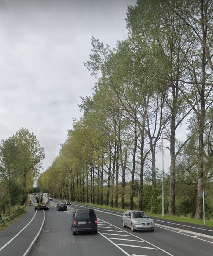 Petition · Carrick On Shannon Tree Removal Ireland ·