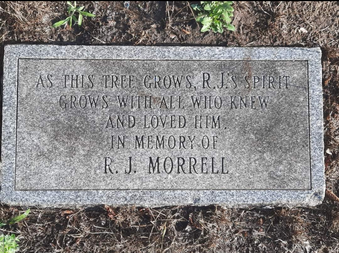 Petition · Preserve the Memorial Tree of RJ Morrell III at Port