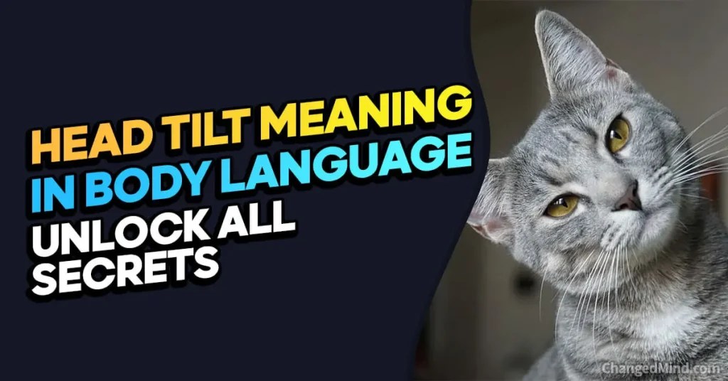 Head Tilt Meaning In Body Language Decoded 26 Secrets