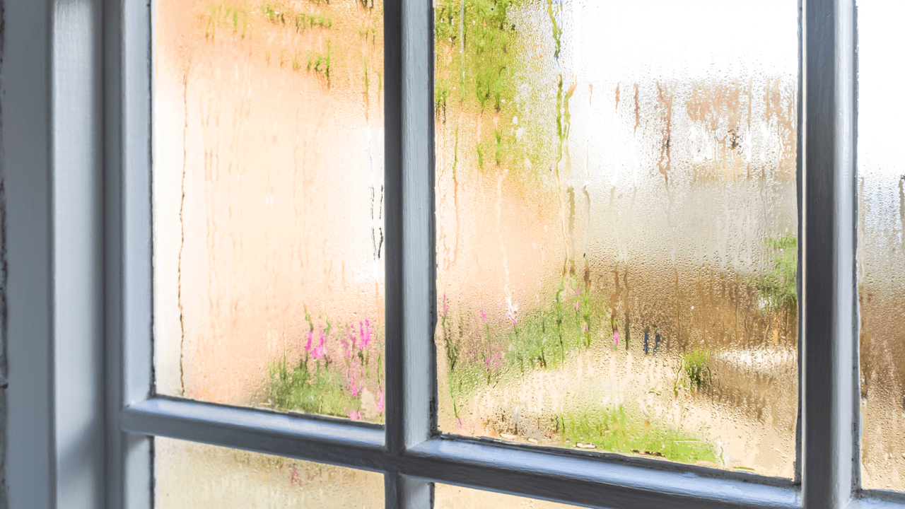 5 Common Humidity Problems and Solutions Change the Air Foundation