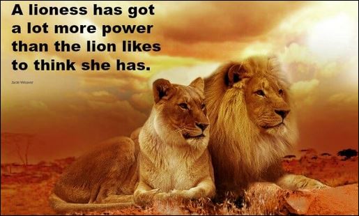 Strength of a Lioness – Change Therapy