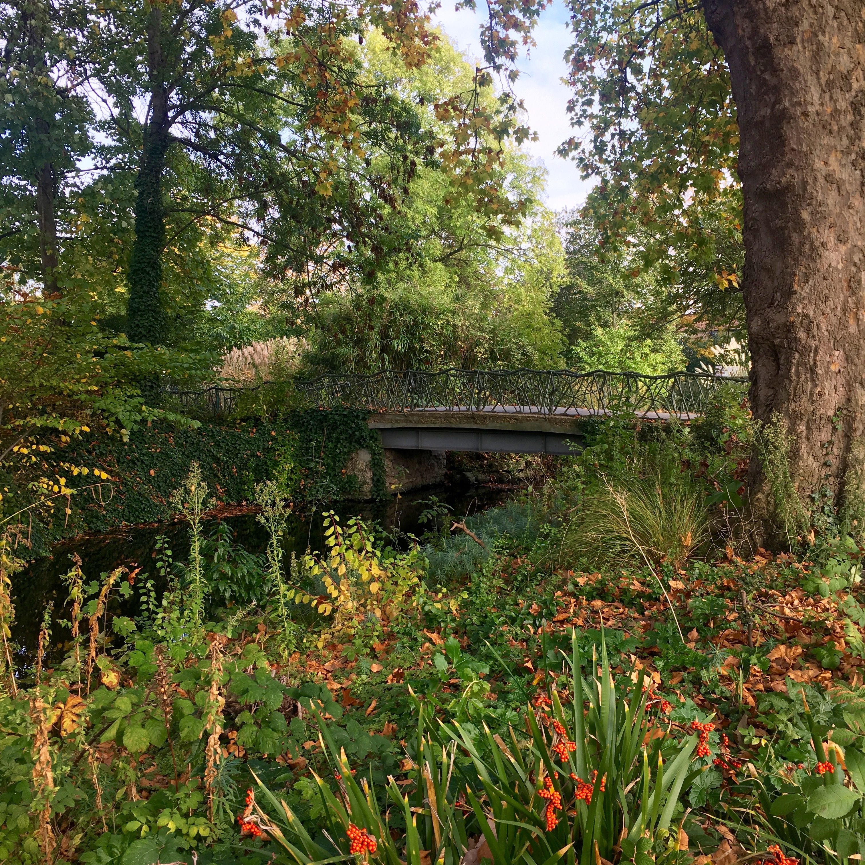 William Morris Gallery Garden Changing Pages