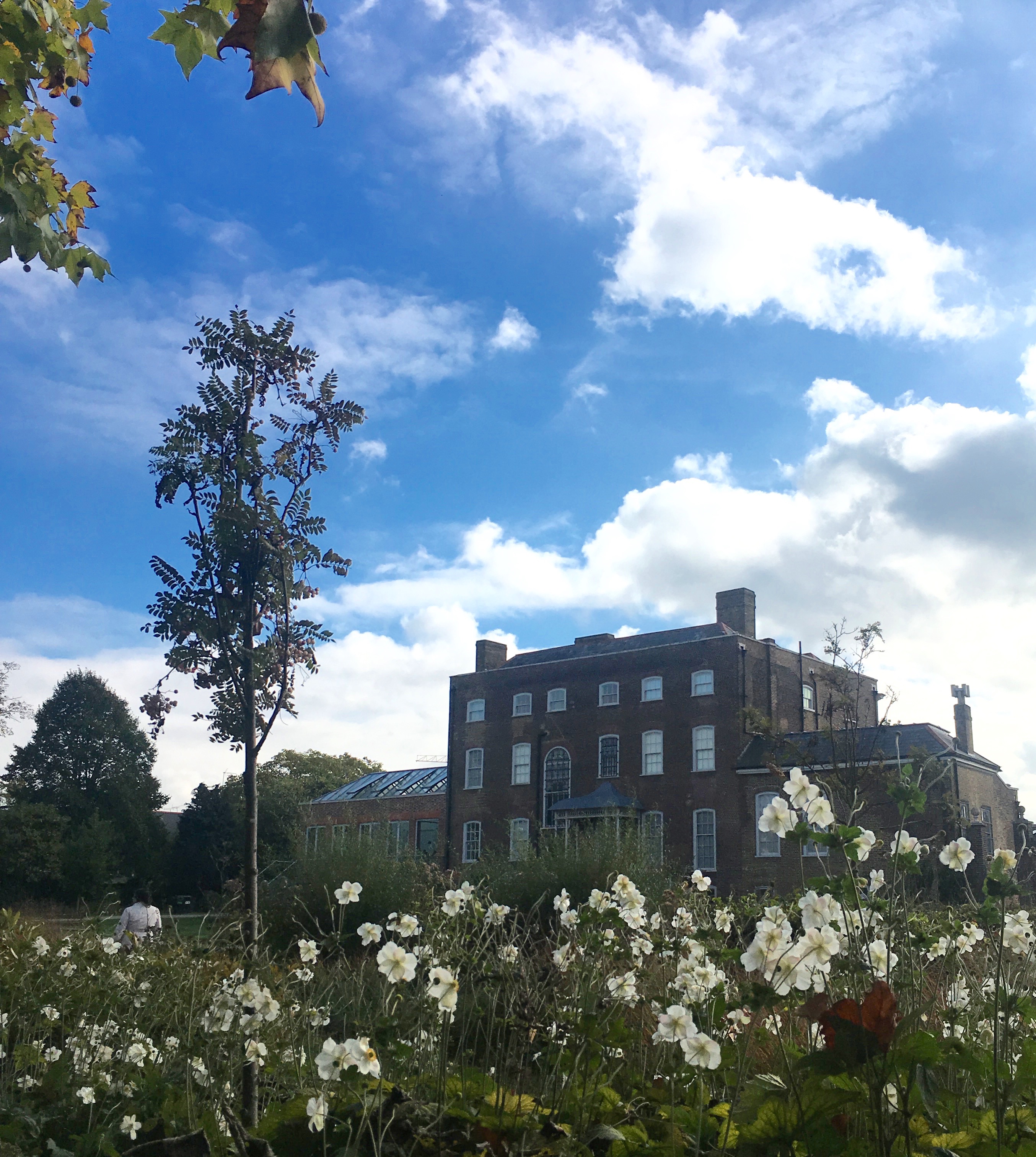 William Morris Gallery Garden Changing Pages