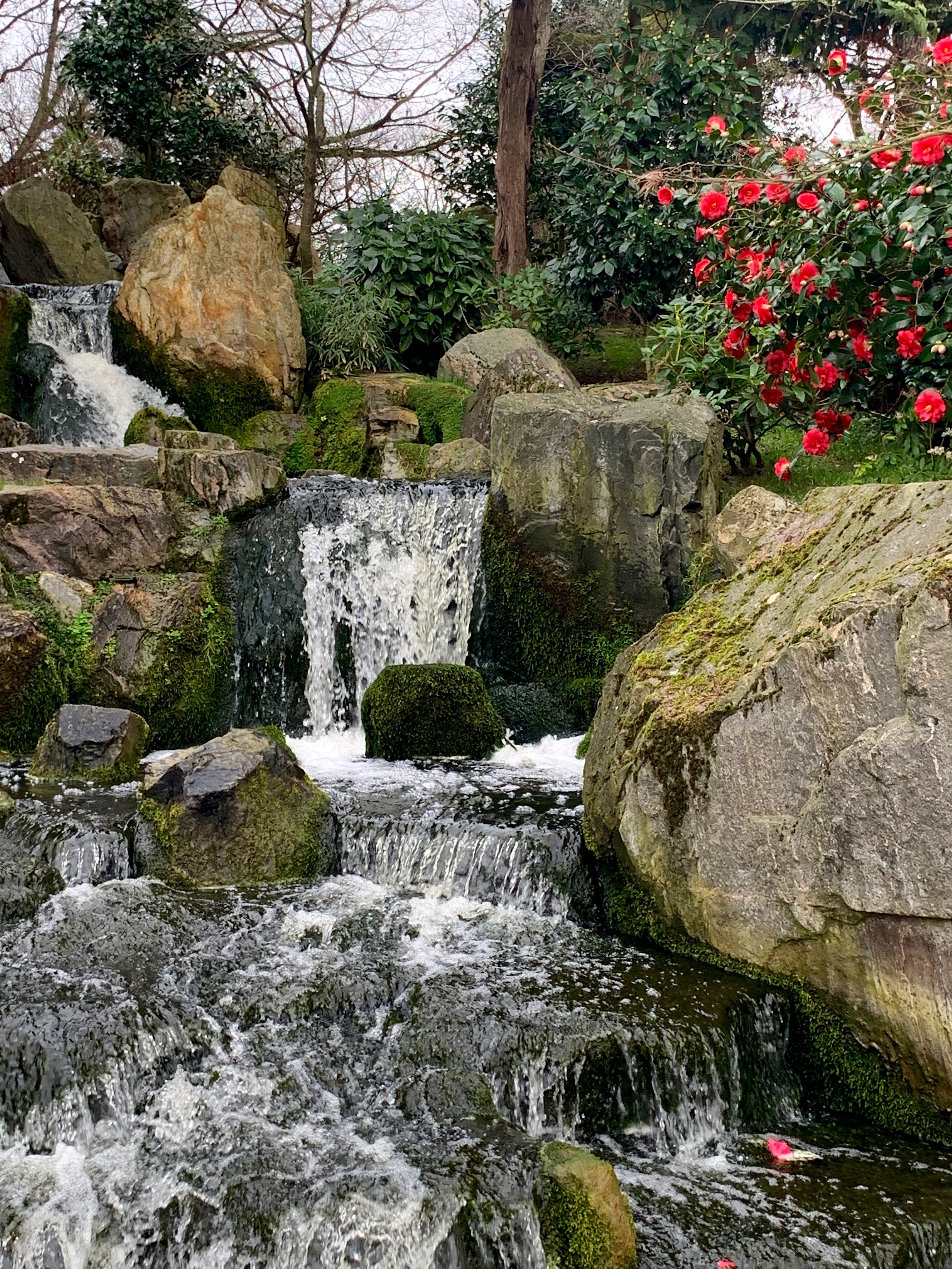 Kyoto Garden Holland Park Changing Pages