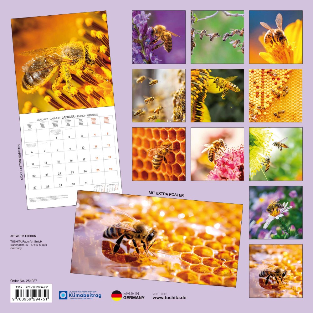 Bees Wall Calendar. 2025 Edition Now in Stock.3BEE