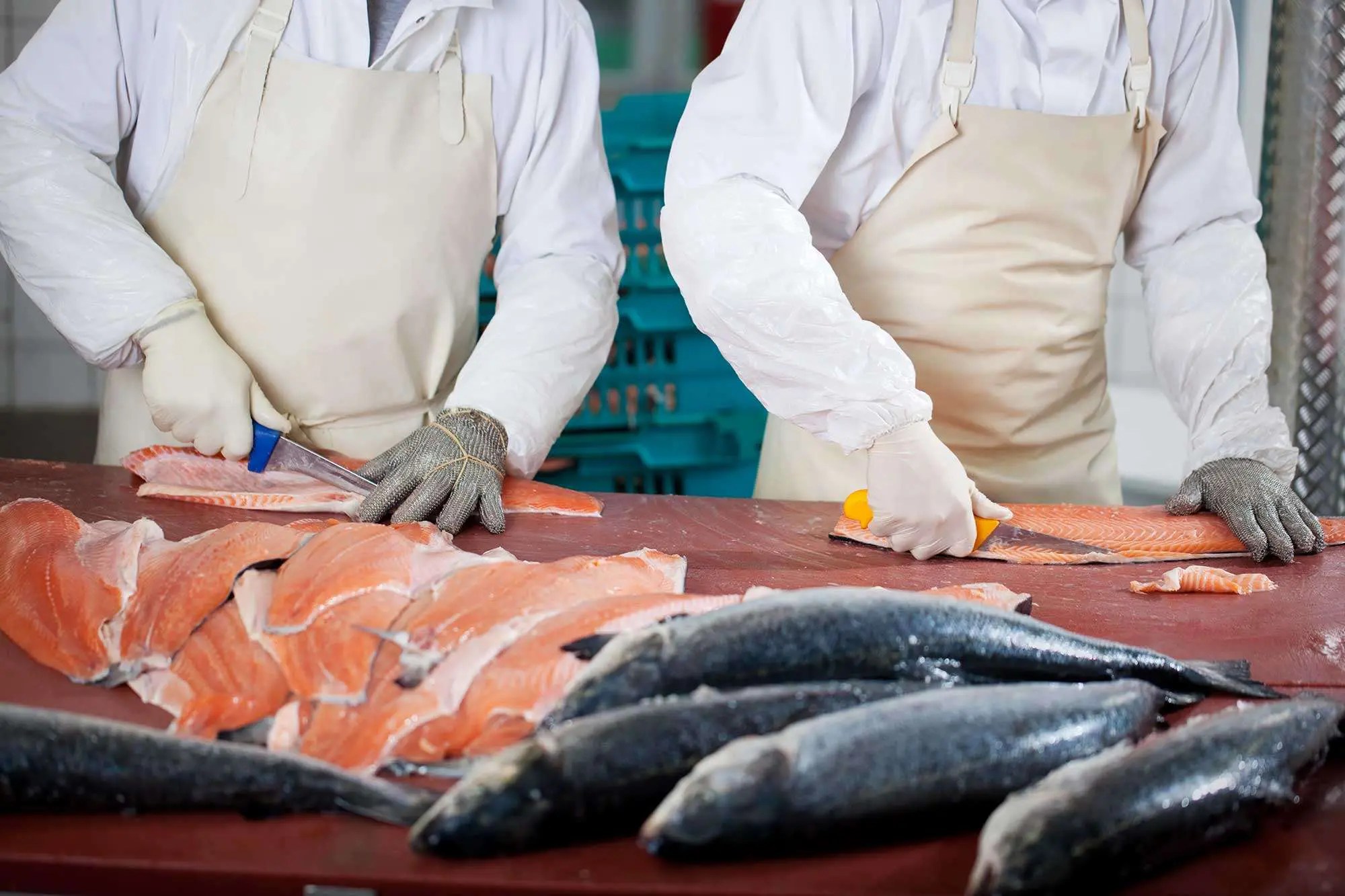 4 Tips for Cooking Fish Channel Fish Processing Company