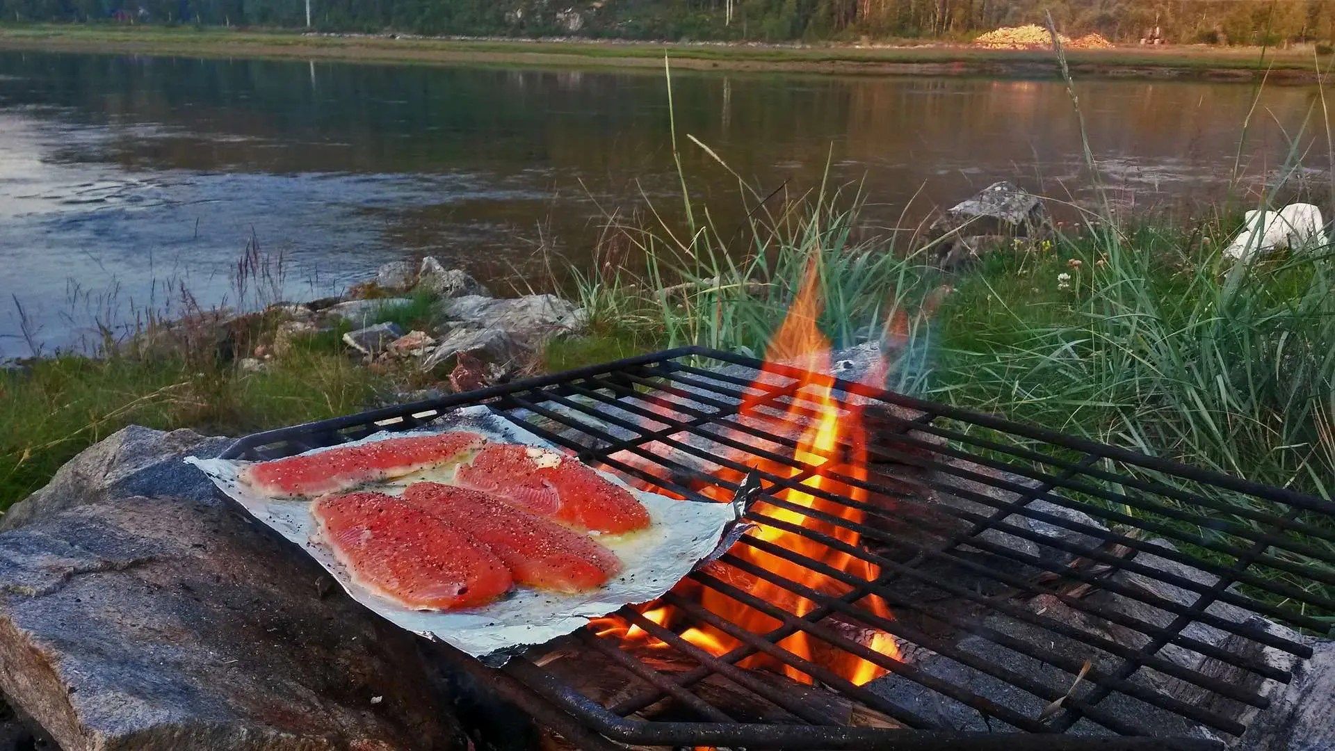 How to Grill Fish For a Perfect Summer Meal