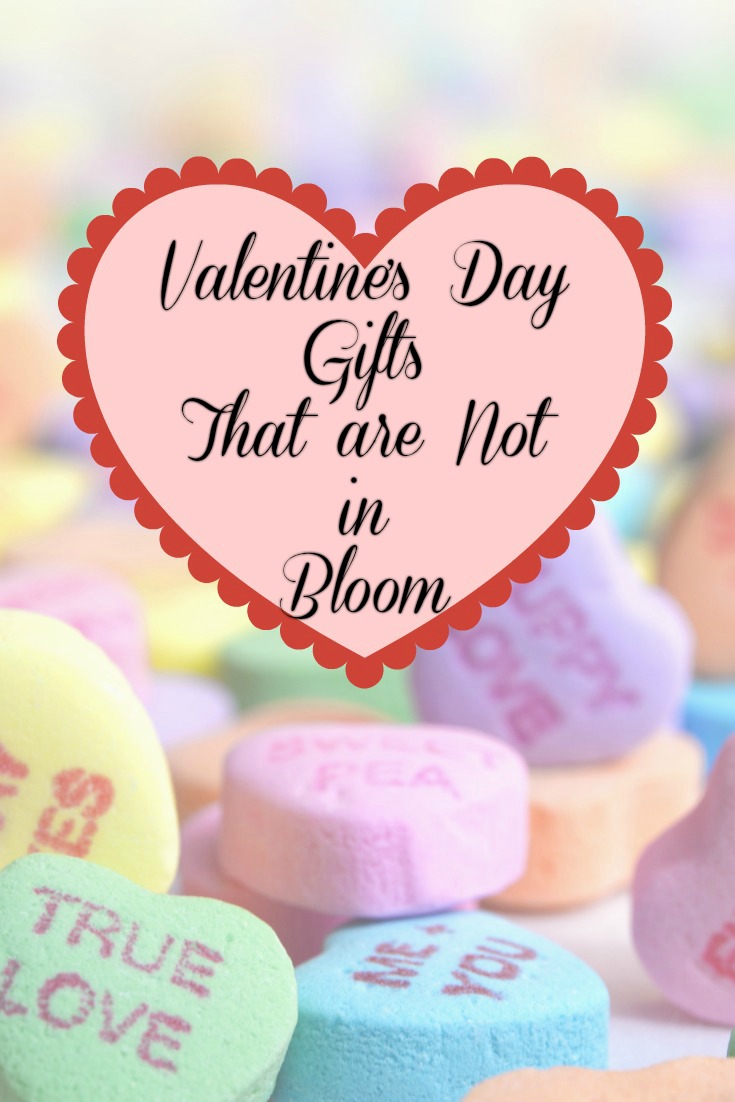 Valentine's Day Gifts That are Not in Bloom