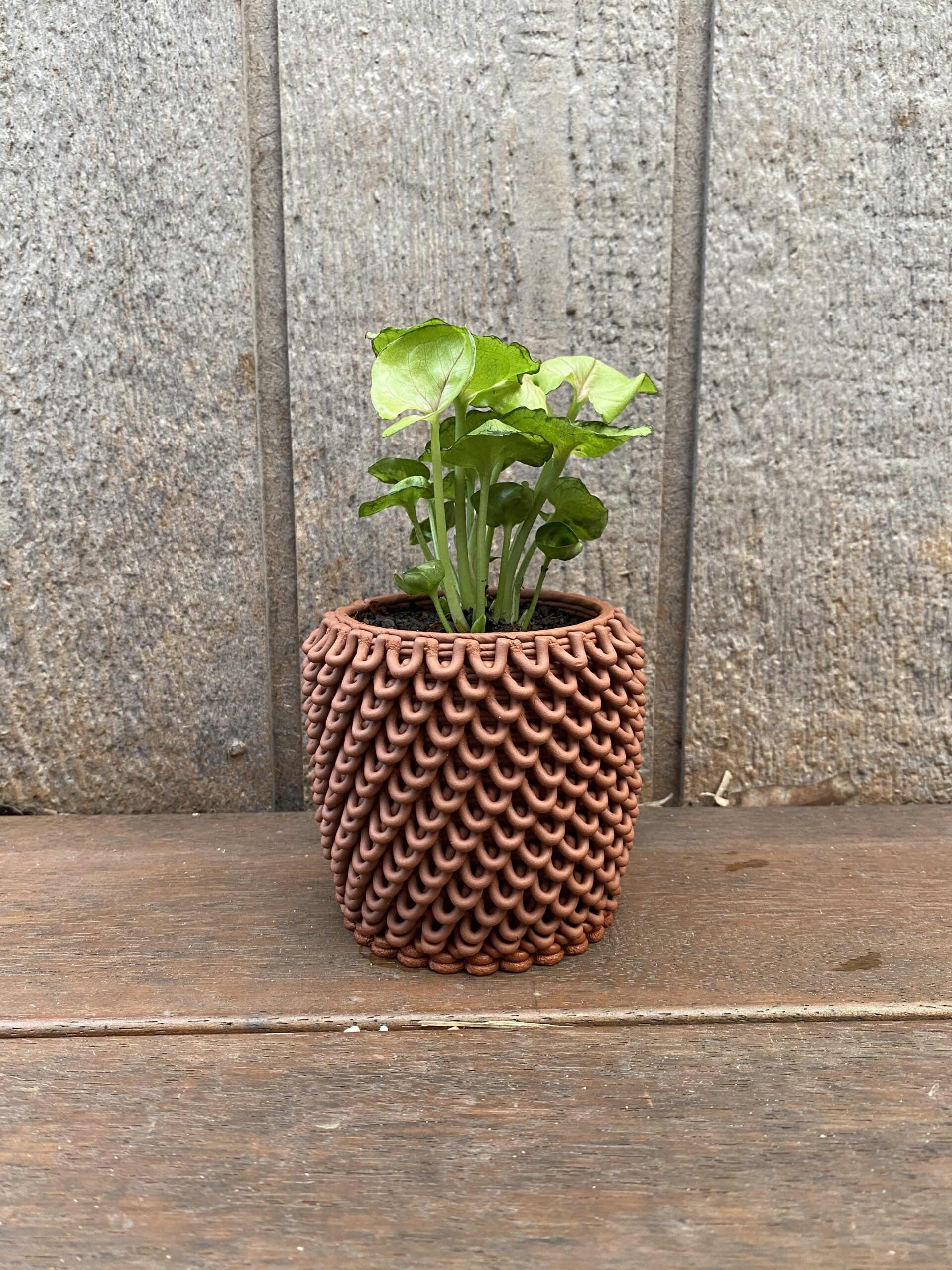 3DPrinted Ceramic Pot Plants Chantelle Baistow