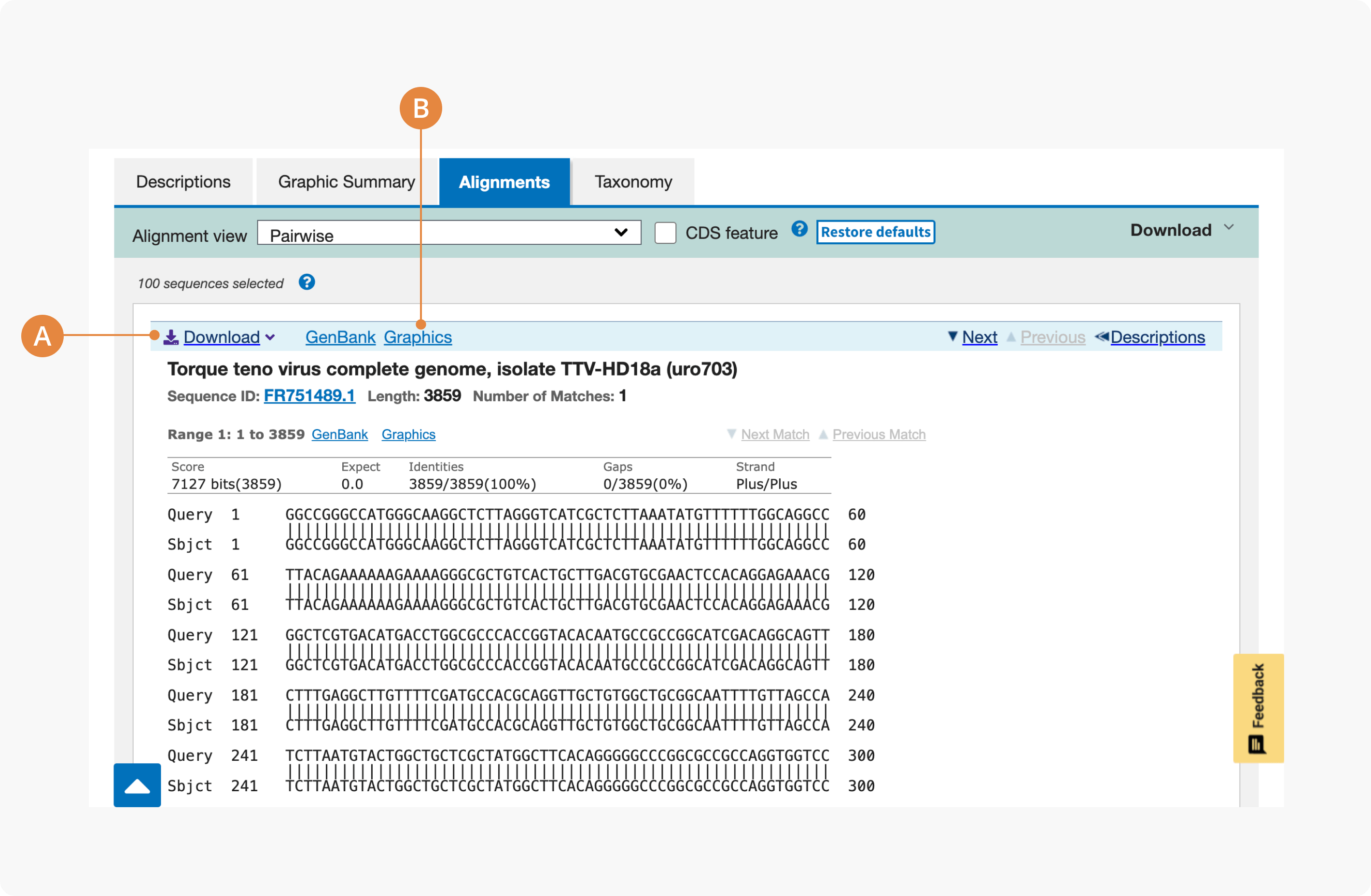 A Guide to BLAST CZ ID Help Center
