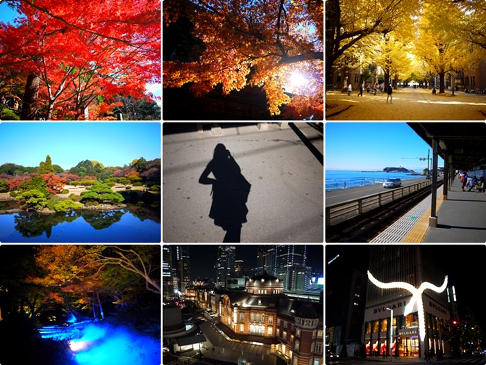 【13 秋日．楓遊東京 】- 六天五夜賞楓行程和心得分享