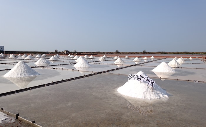 【台南．北門】- 北門井仔腳瓦盤鹽田 + 遠道而來的嬌客．黑面琵鷺（七股）