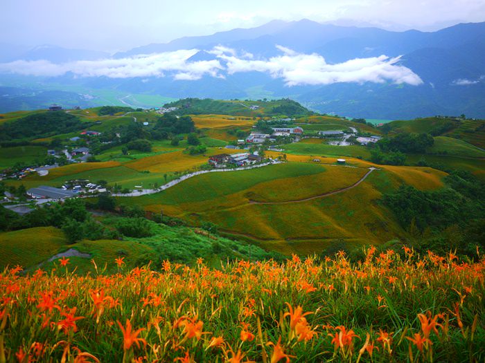 【花蓮．富里】雲霧中的六十石山．季節限定的金針花之美 (2013.08.31)