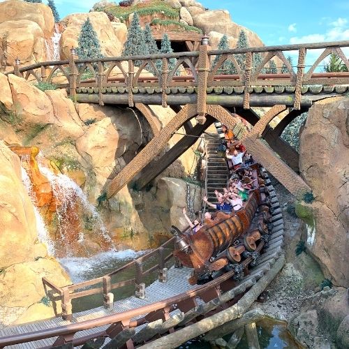 Disney Orlando Rides