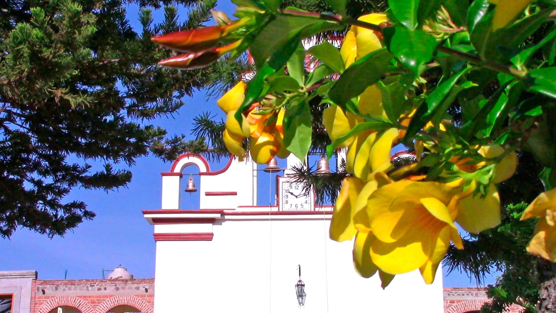 San Antonio Tlayacapan Lake Chapala, Jalisco, Mexico Chapala