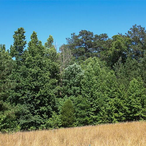 Lots and Land for Sale in Chapel Hill, North Carolina Heffner